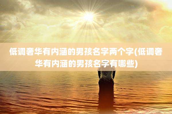 低调奢华有内涵的男孩名字两个字(低调奢华有内涵的男孩名字有哪些)
