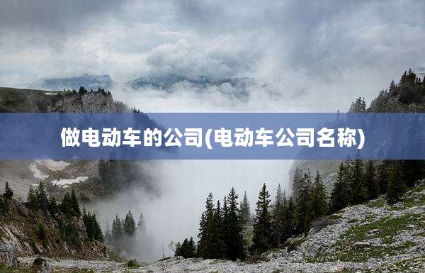 做电动车的公司(电动车公司名称)