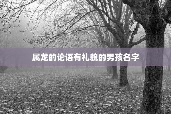 属龙的论语有礼貌的男孩名字