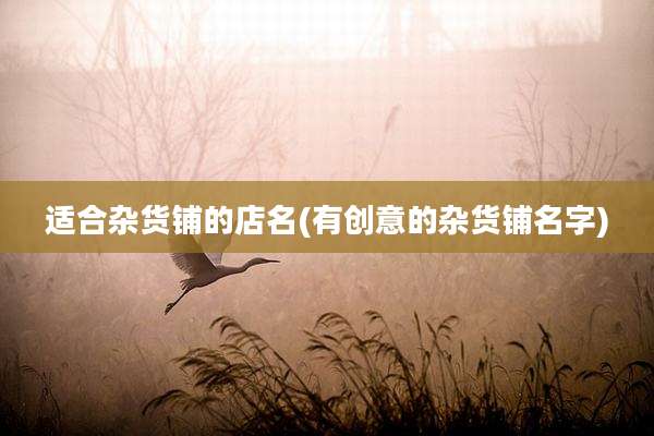 适合杂货铺的店名(有创意的杂货铺名字)