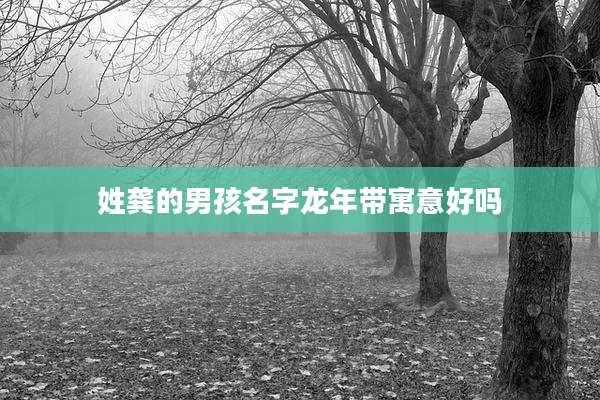 姓龚的男孩名字龙年带寓意好吗