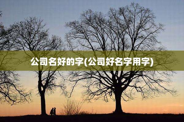 公司名好的字(公司好名字用字)