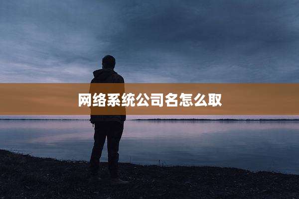网络系统公司名怎么取