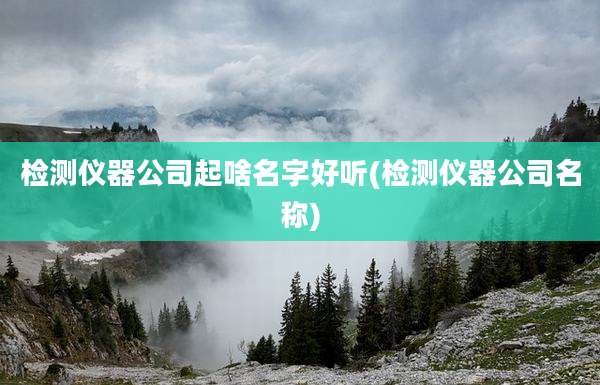 检测仪器公司起啥名字好听(检测仪器公司名称)