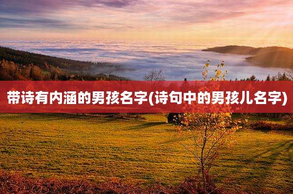带诗有内涵的男孩名字(诗句中的男孩儿名字)