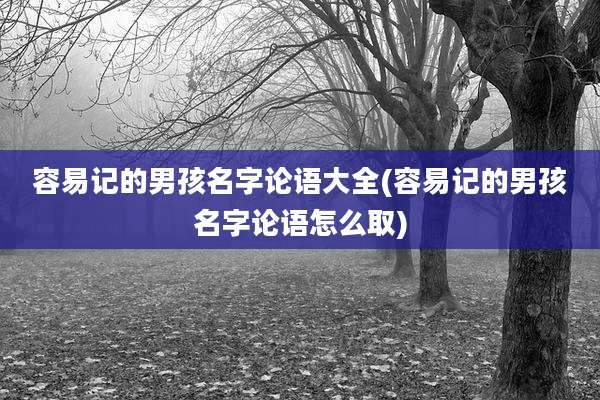 容易记的男孩名字论语大全(容易记的男孩名字论语怎么取)