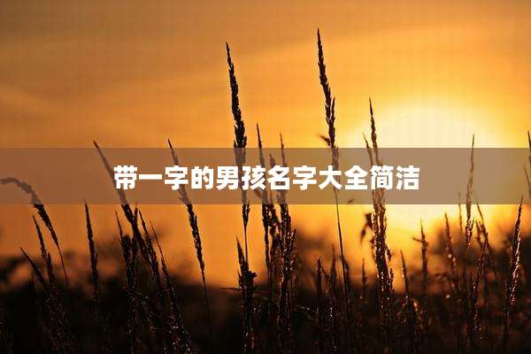 带一字的男孩名字大全简洁