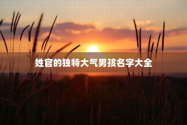 姓官的独特大气男孩名字大全