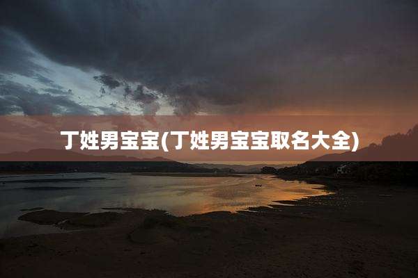 丁姓男宝宝(丁姓男宝宝取名大全)