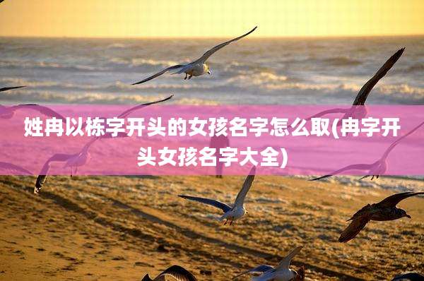 姓冉以栋字开头的女孩名字怎么取(冉字开头女孩名字大全)
