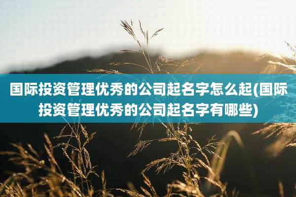 国际投资管理优秀的公司起名字怎么起(国际投资管理优秀的公司起名字有哪些)