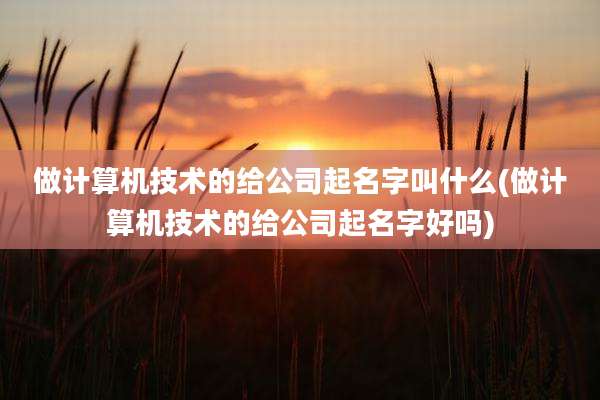 做计算机技术的给公司起名字叫什么(做计算机技术的给公司起名字好吗)