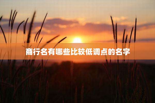 商行名有哪些比较低调点的名字