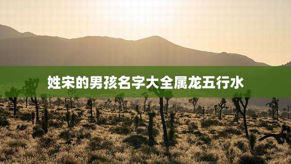 姓宋的男孩名字大全属龙五行水