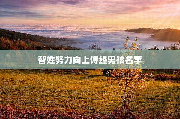 智姓努力向上诗经男孩名字