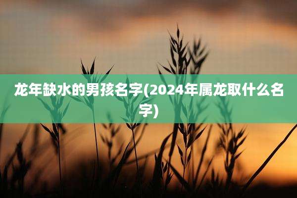 龙年缺水的男孩名字(2024年属龙取什么名字)