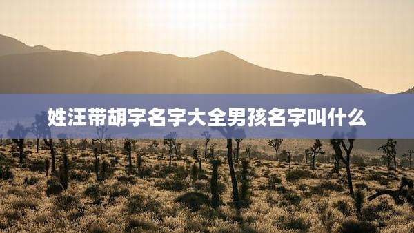 姓汪带胡字名字大全男孩名字叫什么