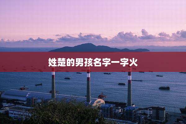 姓楚的男孩名字一字火