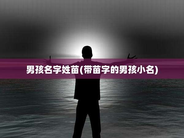 男孩名字姓苗(带苗字的男孩小名)
