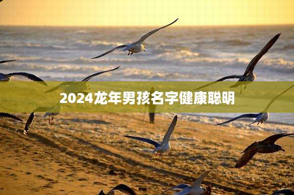 2024龙年男孩名字健康聪明
