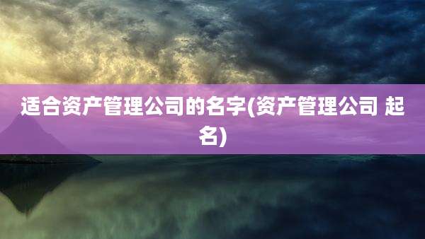 适合资产管理公司的名字(资产管理公司 起名)