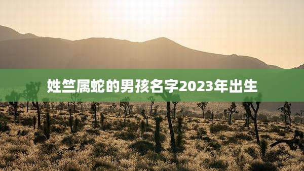 姓竺属蛇的男孩名字2023年出生