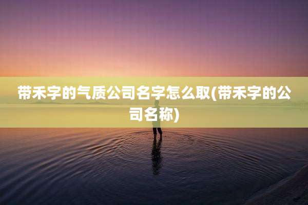 带禾字的气质公司名字怎么取(带禾字的公司名称)