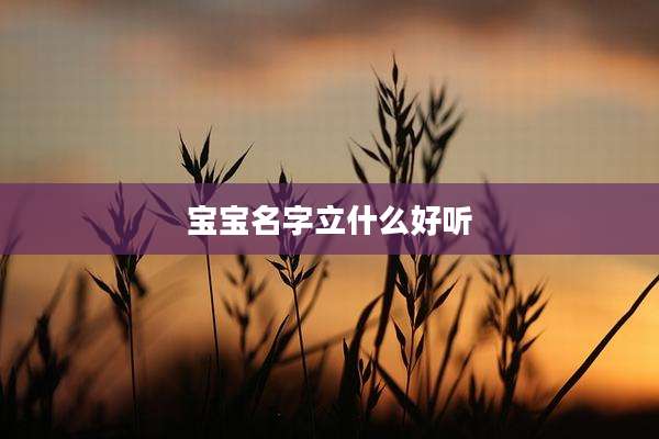 宝宝名字立什么好听