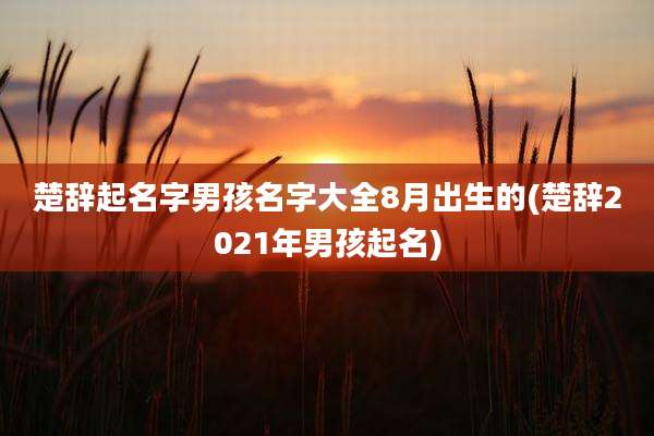 楚辞起名字男孩名字大全8月出生的(楚辞2021年男孩起名)