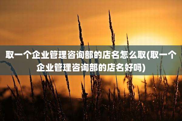 取一个企业管理咨询部的店名怎么取(取一个企业管理咨询部的店名好吗)