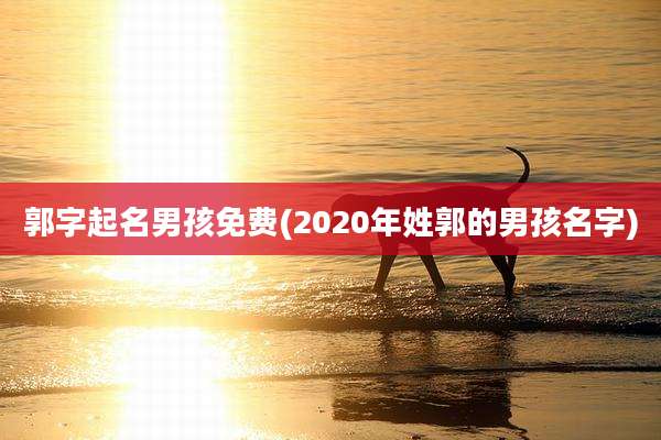 郭字起名男孩免费(2020年姓郭的男孩名字)