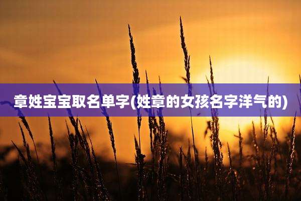 章姓宝宝取名单字(姓章的女孩名字洋气的)
