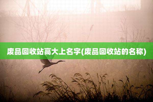 废品回收站高大上名字(废品回收站的名称)