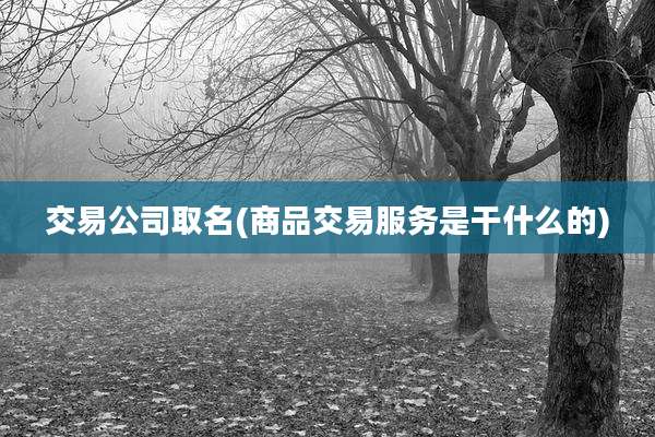 交易公司取名(商品交易服务是干什么的)