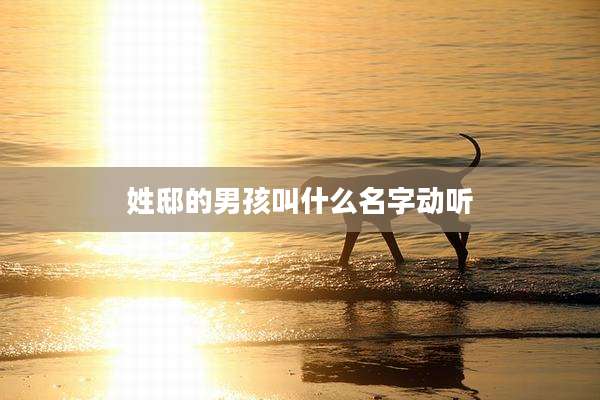 姓邸的男孩叫什么名字动听