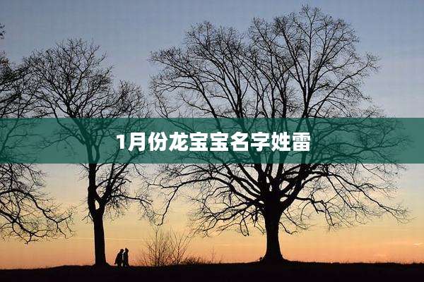 1月份龙宝宝名字姓雷