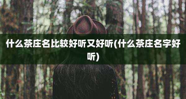 什么茶庄名比较好听又好听(什么茶庄名字好听)