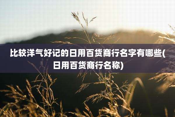 比较洋气好记的日用百货商行名字有哪些(日用百货商行名称)