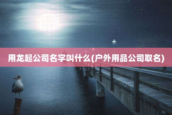 用龙起公司名字叫什么(户外用品公司取名)