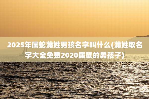 2025年属蛇蒲姓男孩名字叫什么(蒲姓取名字大全免费2020属鼠的男孩子)
