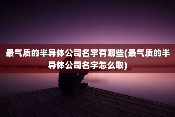 最气质的半导体公司名字有哪些(最气质的半导体公司名字怎么取)