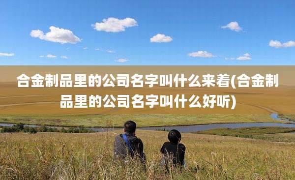 合金制品里的公司名字叫什么来着(合金制品里的公司名字叫什么好听)