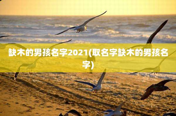 缺木的男孩名字2021(取名字缺木的男孩名字)