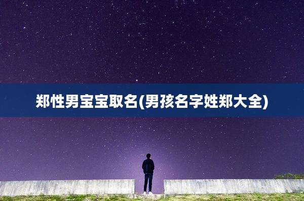 郑性男宝宝取名(男孩名字姓郑大全)