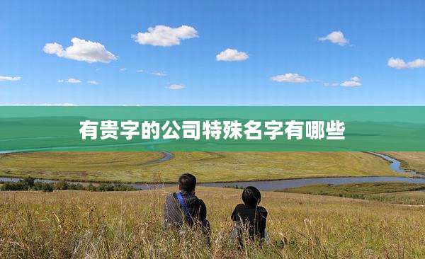 有贵字的公司特殊名字有哪些