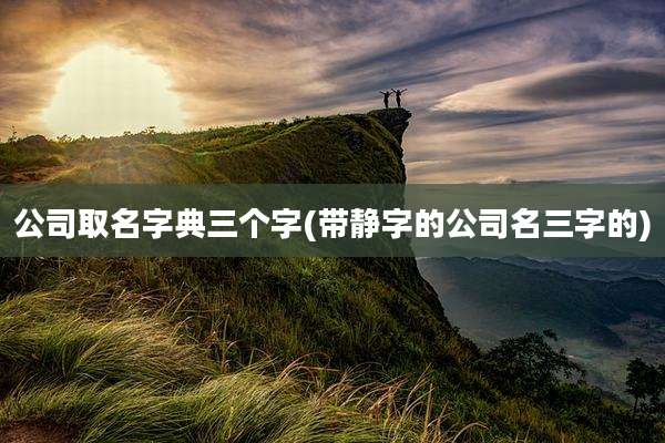 公司取名字典三个字(带静字的公司名三字的)