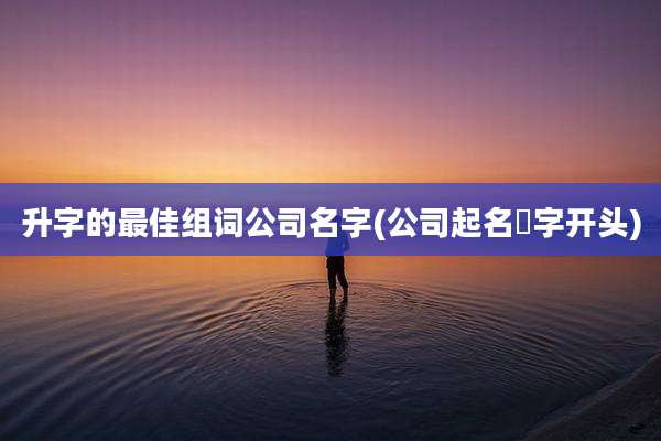 升字的最佳组词公司名字(公司起名昇字开头)