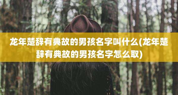 龙年楚辞有典故的男孩名字叫什么(龙年楚辞有典故的男孩名字怎么取)