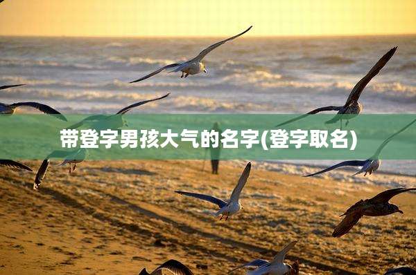 带登字男孩大气的名字(登字取名)