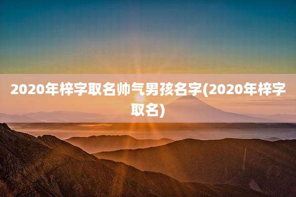 2020年梓字取名帅气男孩名字(2020年梓字取名)